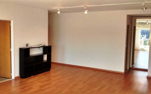 Olga Cossettini 1190